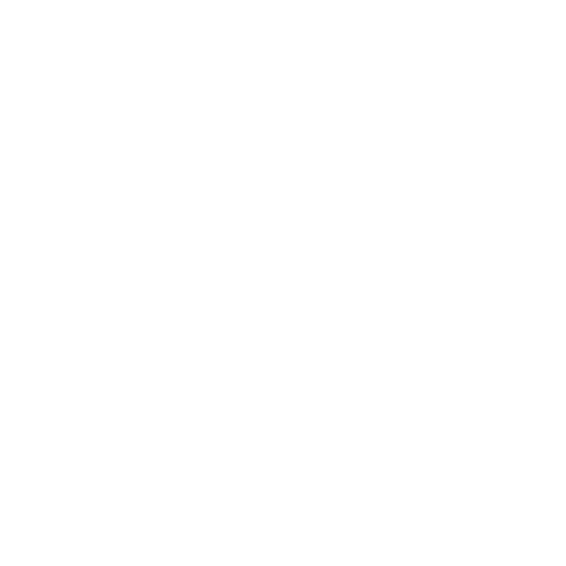 White ticket with VIP stamped