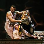 A tiger looks over it's shoulder. You can see the two puppeteers