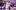 DT7_0658-scaled-aspect-ratio-2-1