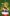 Christmas-Gifting-Web-sizes-600-x-900-V2-aspect-ratio-10-16 Give the Gift of Theatre: Characters burst out of present including Bing, Iain Stirling, Mamma Mia, Johannes Radebe, Tina, Spitfire Girls and Room on the Broom as baubles fall around