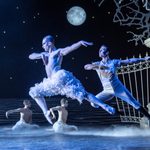 The Prince and White swan mirror each other as they leap over water by pillars and gates at night, other swans sitting in the background