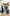 Frantic-image-aspect-ratio-10-16