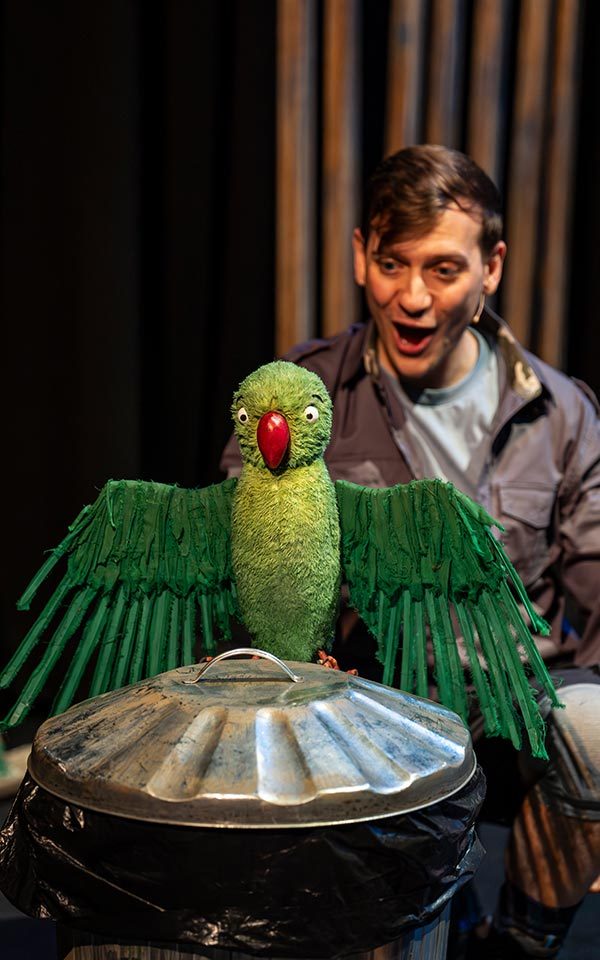 Robert the parakeet