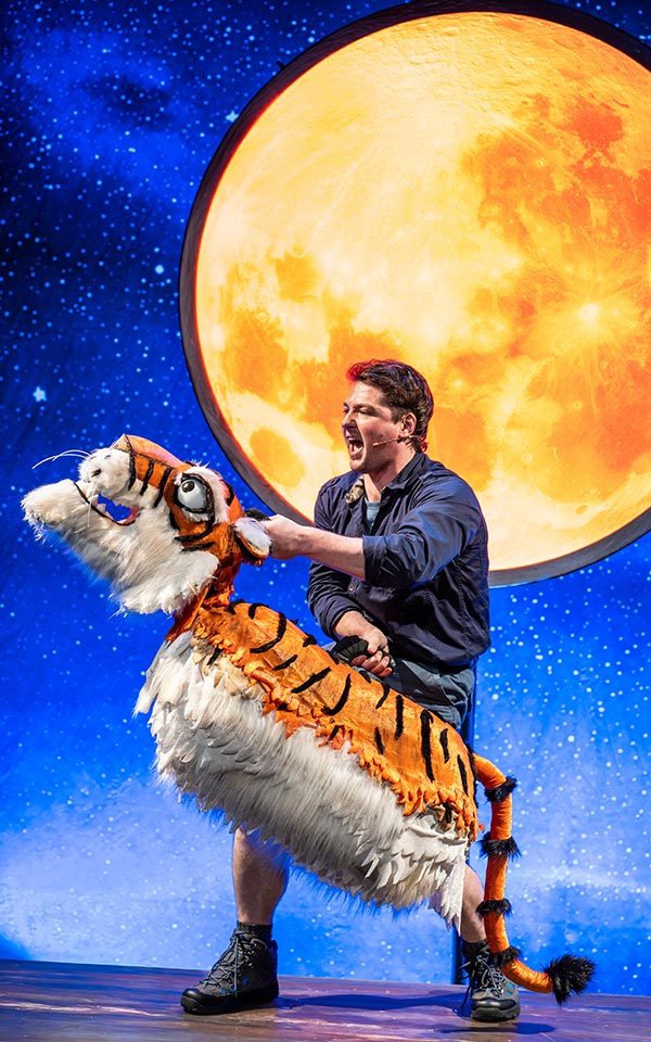 A pouncing tiger